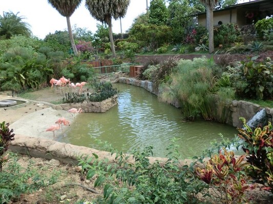 Emperor Valley Zoo