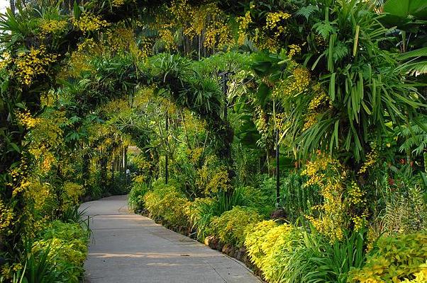National Orchid Garden