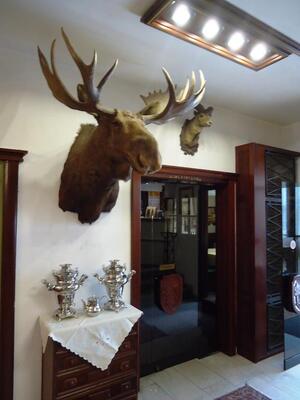 PLAZA Hotel Buchhorner Hof