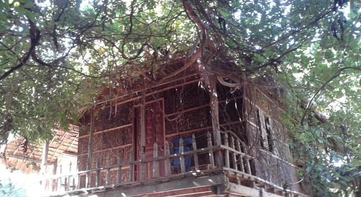 Kampot River Bungalow