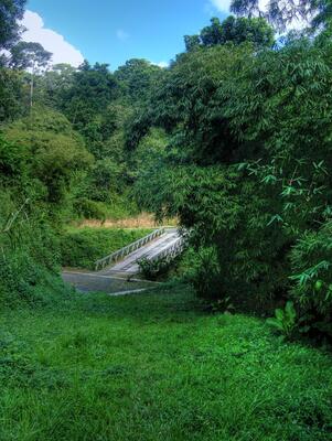 Cuffie River Nature Retreat