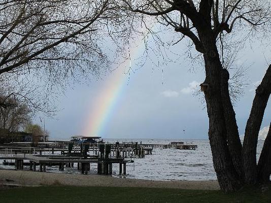 Lakeshore Bed & Breakfast