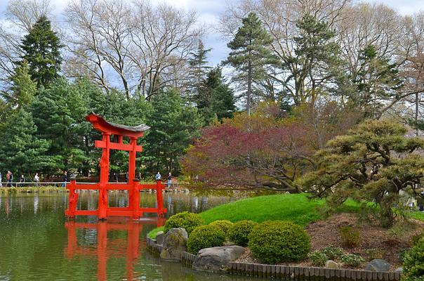 Brooklyn Botanic Garden