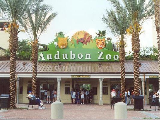 Audubon Zoo