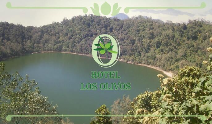 Hotel Los Olivos