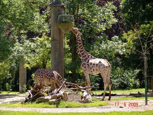 Munchener Tierpark Hellabrunn