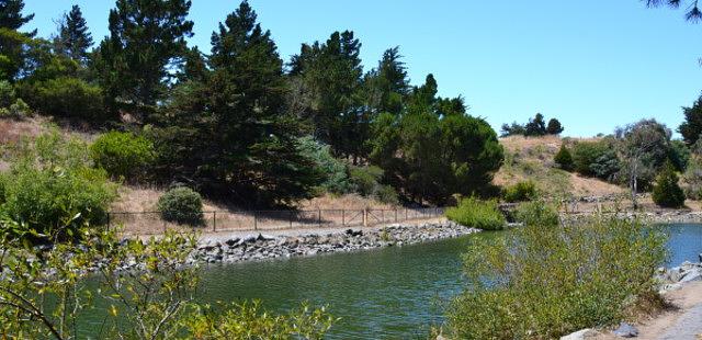 John McLaren Park