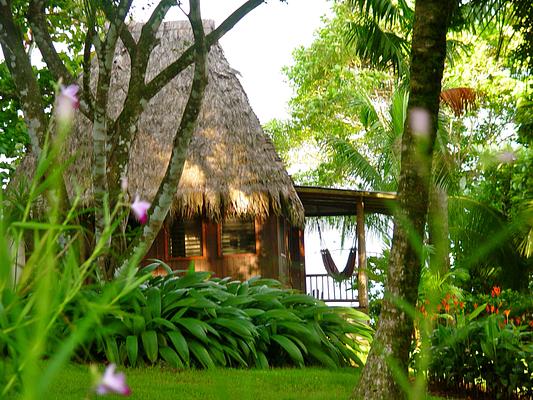 Bosque del Cabo Rainforest Lodge