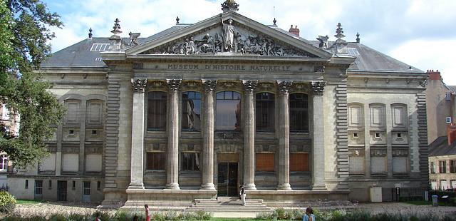 Musee d'histoire naturelle de Nantes