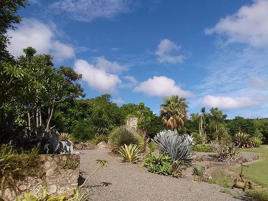 St. George Village Botanical Garden