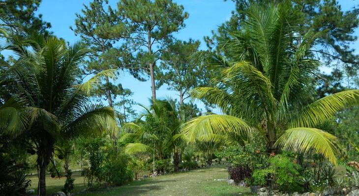 Beck's Bed and Breakfast