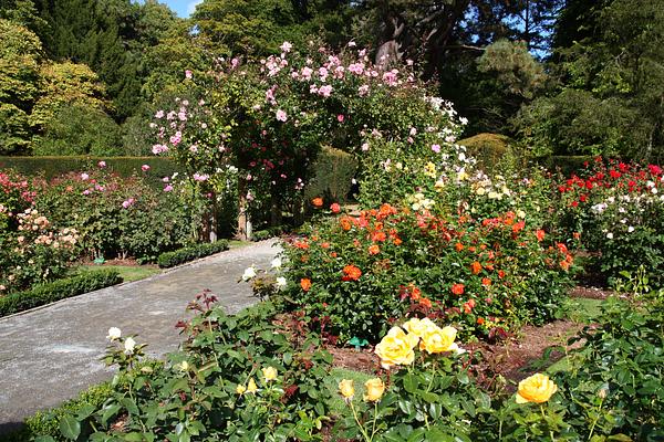 Christchurch Botanic Gardens