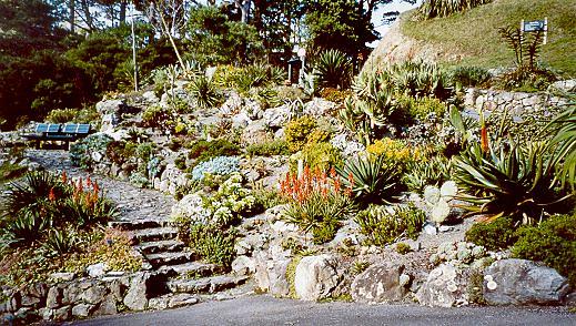 Otari-Wilton's Bush Native Botanic Garden