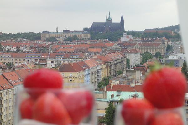 Hotel International Prague