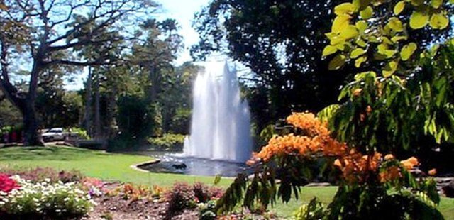 George Brown Darwin Botanic Gardens