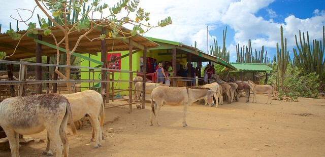 Philip's Animal Garden
