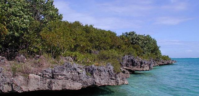 Ile aux Aigrettes Nature Reserve