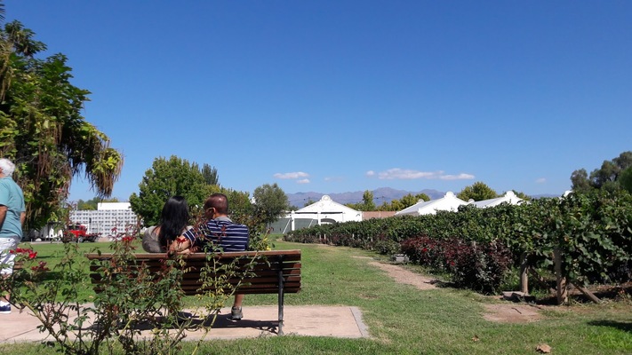 Finca El Paraiso - Bodega Luigi Bosca
