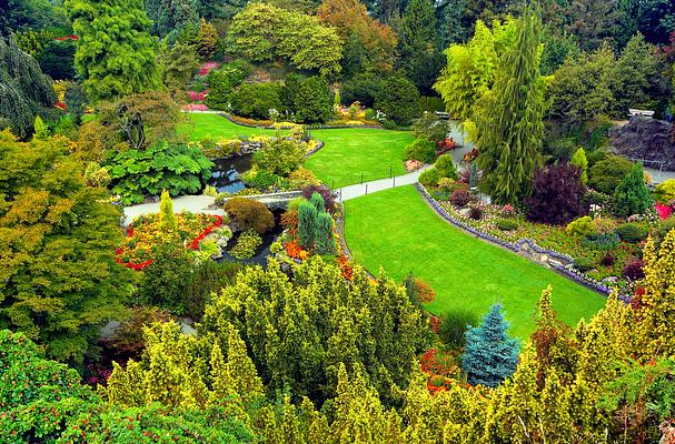 Queen Elizabeth Park