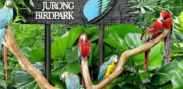 Jurong Bird Park