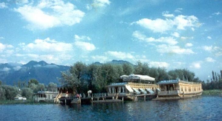 Butterfly Group of Houseboats