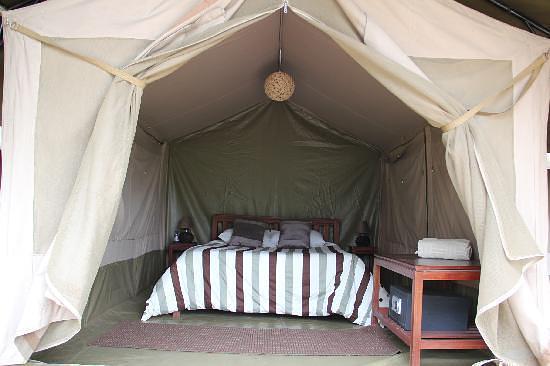 Wildebeest Eco Camp