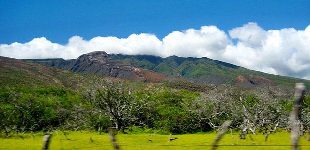 Purdy's All-Natural Macadamia Nut Farm