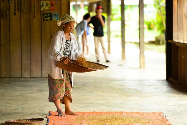 Mulu Marriott Resort & Spa