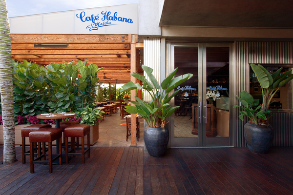 Cafe Habana Malibu