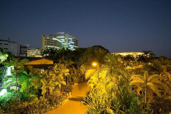 Palms City Resort