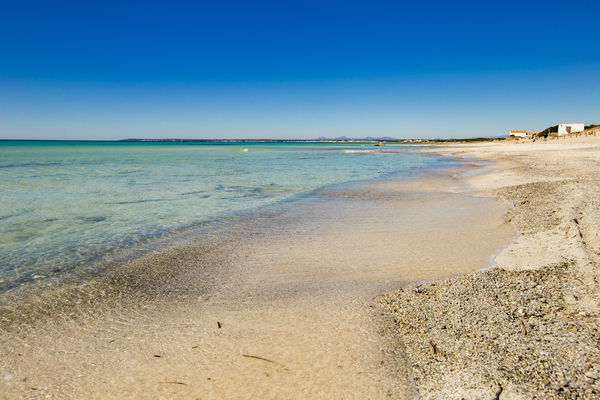 Platja d'es Trenc