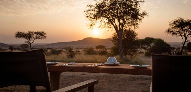 Dunia Camp, Asila Africa