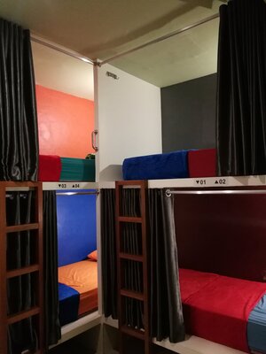 Sleepy Raccoon Hostel