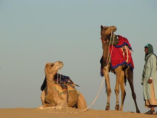 Hotel Tokyo Palace Jaisalmer