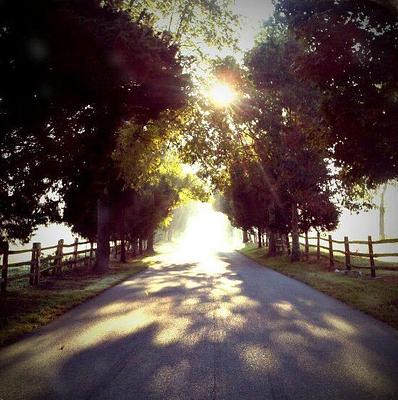 Andrew Jackson's Hermitage