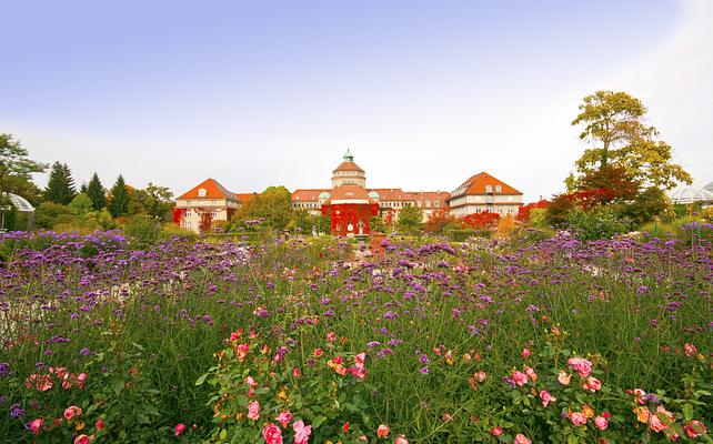 Botanischer Garten Muenchen-Nymphenburg