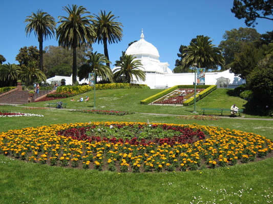 Golden Gate Park