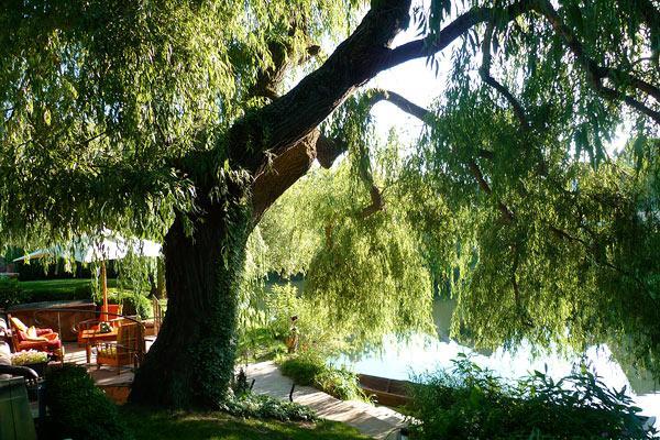 Hotel Des Berges