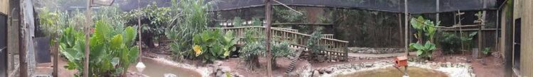 Umgeni River Bird Park