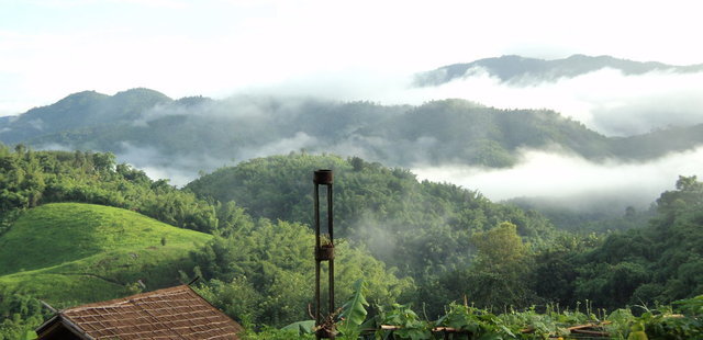Bamboo Nest de Chiang Rai
