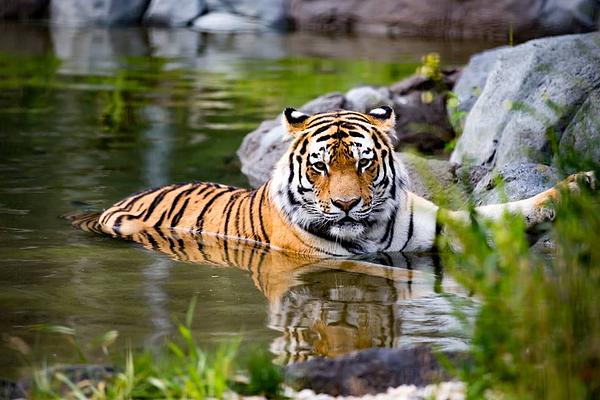 Assiniboine Park Zoo
