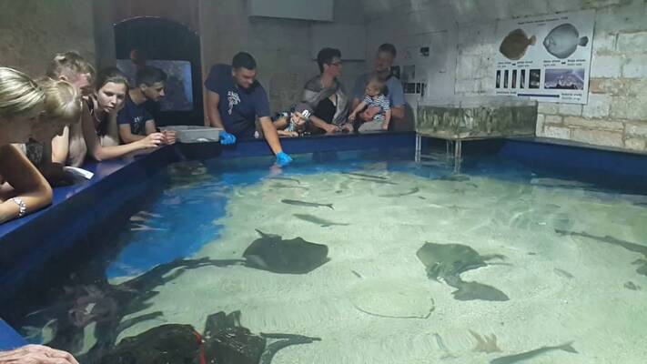 Aquarium Pula