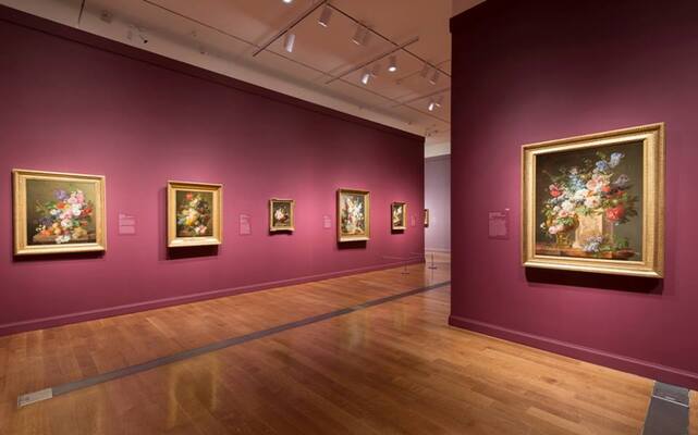 Virginia Museum Of Fine Arts