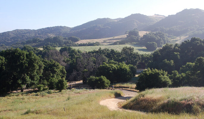 Topanga State Park