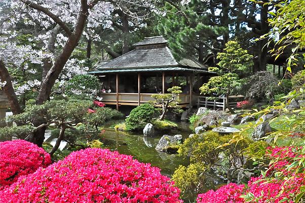 Japanese Tea Garden