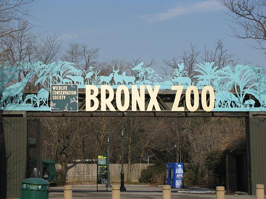 Bronx Zoo