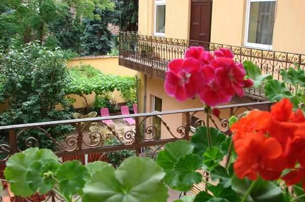 Transylvania Hostel