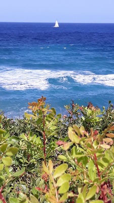 Cala Mesquida