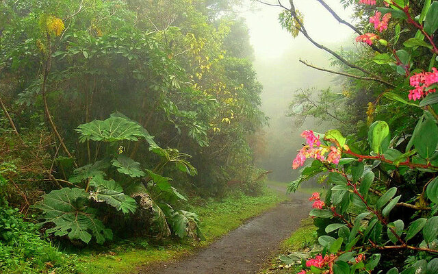 Parque Nacional Braulio Carrillo
