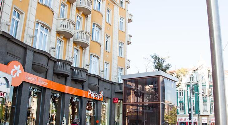 Hotel Lion